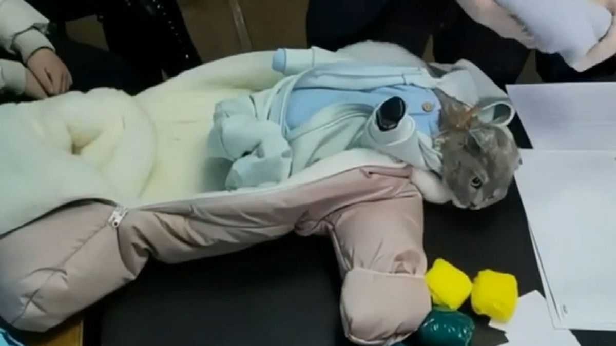 Dealerka pašovala drogy pomocí kočky převlečené za miminko